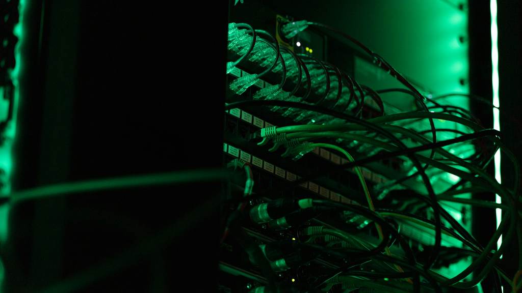 Network cables plugged into a server rack in green light