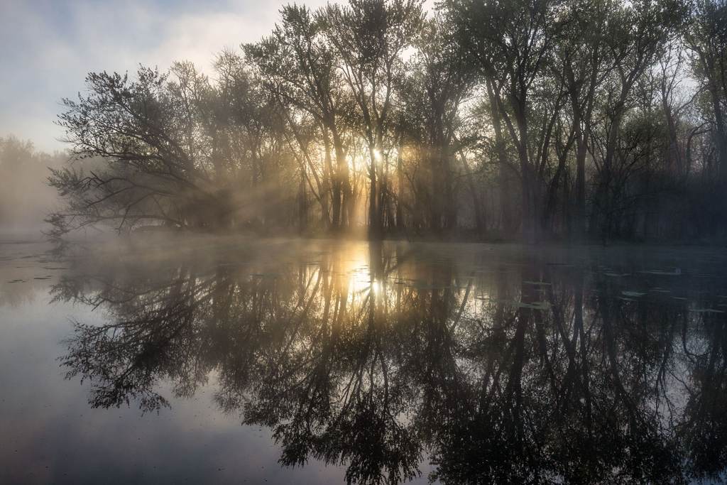 Misty pond at sunrise with trees reflected in the water